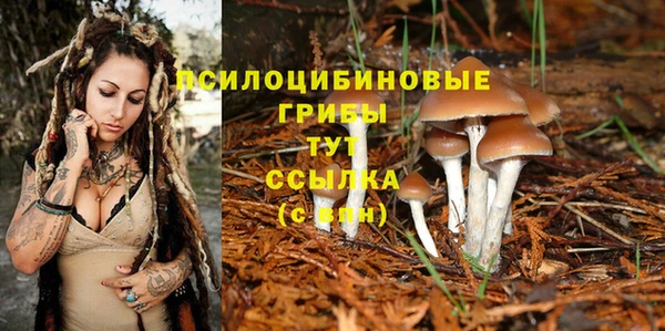 круглые Армянск