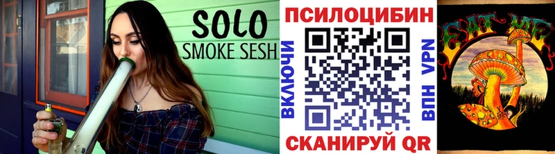 Псилоцибиновые грибы Psilocybine cubensis Карачаевск
