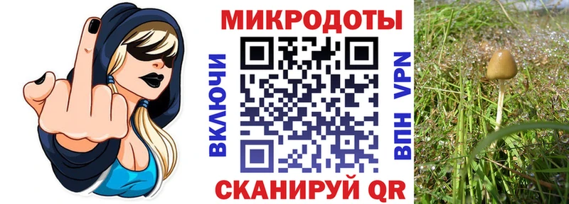 Галлюциногенные грибы Psilocybe гидра вход Карачаевск